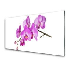 tulup.sk Skleneny obraz Vstavač orchidea kvety 100x50 cm 4 Prívesky