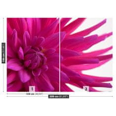 tulup.sk Fototapeta Dahlia pink Samolepiaca fototapeta 104x70 cm