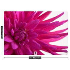 tulup.sk Fototapeta Dahlia pink Samolepiaca fototapeta 104x70 cm