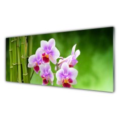 tulup.sk Skleneny obraz Bambus orchidea kvety zen 125x50 cm 2 Prívesky