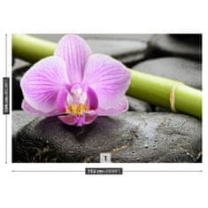 tulup.sk Fototapeta Orchidea kamene Samolepiaca fototapeta 104x70 cm