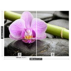 tulup.sk Fototapeta Orchidea kamene Samolepiaca fototapeta 104x70 cm