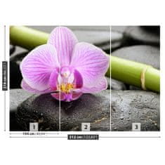 tulup.sk Fototapeta Orchidea kamene Samolepiaca fototapeta 104x70 cm