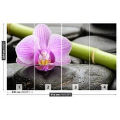 tulup.sk Fototapeta Orchidea kamene Samolepiaca fototapeta 104x70 cm