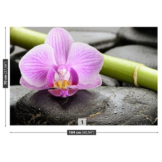 tulup.sk Fototapeta Orchidea kamene Vliesová fototapeta