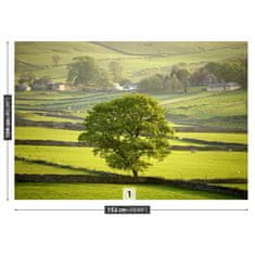 tulup.sk Fototapeta Anglie derbyshire Samolepiaca fototapeta 104x70 cm