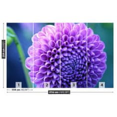 tulup.sk Fototapeta Fialová dahlia Samolepiaca fototapeta 104x70 cm