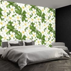 tulup.sk Fototapeta Plumeria kvety Vliesová fototapeta 250x104 cm