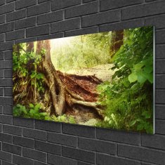 tulup.sk Skleneny obraz Strom kmeň príroda les 120x60 cm 2 Prívesky