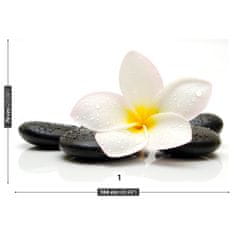 tulup.sk Fototapeta Plumeria stones Samolepiaca fototapeta 152x104 cm