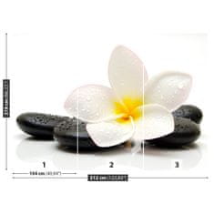 tulup.sk Fototapeta Plumeria stones Samolepiaca fototapeta 152x104 cm