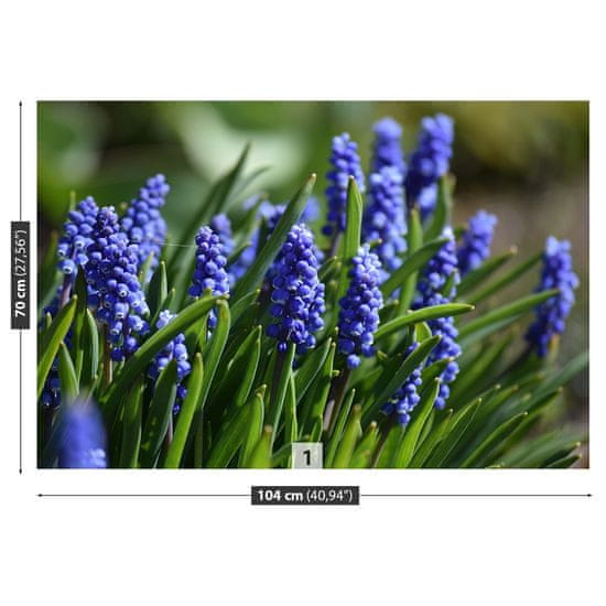 tulup.sk Fototapeta Modré hyacinty Vliesová fototapeta