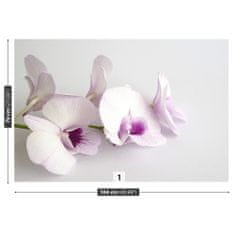 tulup.sk Fototapeta Biele orchidey Samolepiaca fototapeta 104x70 cm