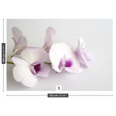 tulup.sk Fototapeta Biele orchidey Samolepiaca fototapeta 104x70 cm