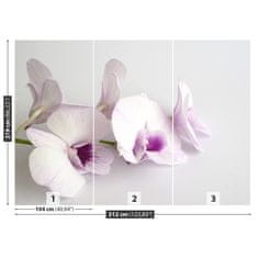 tulup.sk Fototapeta Biele orchidey Vliesová fototapeta 312x219 cm