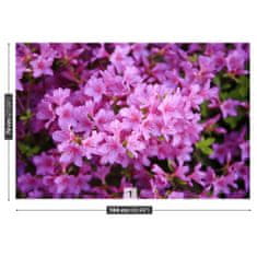 tulup.sk Fototapeta Rhododendron ružový Vliesová fototapeta 104x70 cm