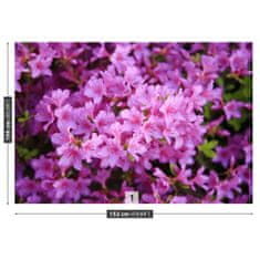 tulup.sk Fototapeta Rhododendron ružový Samolepiaca fototapeta 208x146 cm