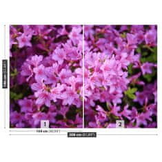 tulup.sk Fototapeta Rhododendron ružový Samolepiaca fototapeta 208x146 cm