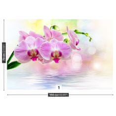 tulup.sk Fototapeta Orchidea ruže Samolepiaca fototapeta 104x70 cm