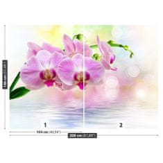 tulup.sk Fototapeta Orchidea ruže Samolepiaca fototapeta 104x70 cm