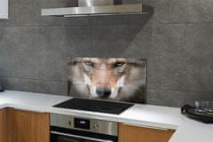 tulup.sk Nástenný panel  wolf Eyes 100x50 cm