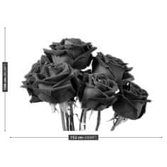 tulup.sk Fototapeta Čierne ruže Samolepiaca fototapeta 208x146 cm
