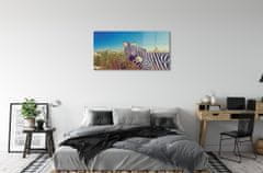 tulup.sk Obraz na akrylátovom skle Zebra kvety 120x60 cm 4 Prívesky