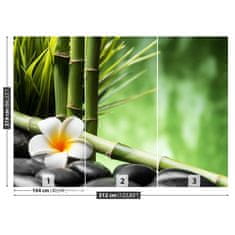 tulup.sk Fototapeta Kríky bamboo Samolepiaca fototapeta 104x70 cm