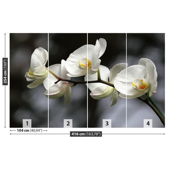 tulup.sk Fototapeta Biela orchidea Vliesová fototapeta