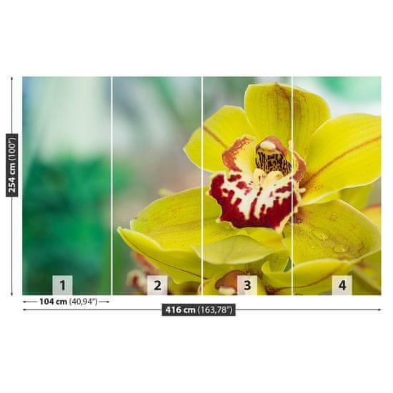 tulup.sk Fototapeta Žltá orchidea Vliesová fototapeta