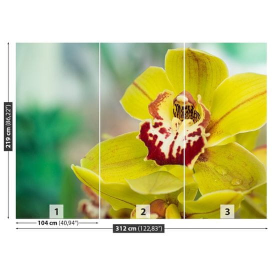 tulup.sk Fototapeta Žltá orchidea Vliesová fototapeta