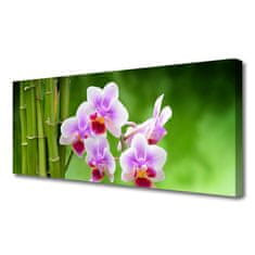 tulup.sk Obraz Canvas Bambus orchidea kvety zen 120x60 cm