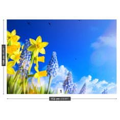 tulup.sk Fototapeta Modrý narcis Samolepiaca fototapeta 250x104 cm