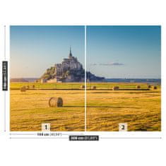 tulup.sk Fototapeta Le mont saintmichel Vliesová fototapeta 208x146 cm