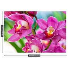 tulup.sk Fototapeta Ružové orchidey Vliesová fototapeta 104x70 cm