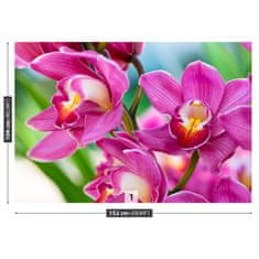 tulup.sk Fototapeta Ružové orchidey Samolepiaca fototapeta 104x70 cm