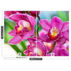 tulup.sk Fototapeta Ružové orchidey Samolepiaca fototapeta 104x70 cm