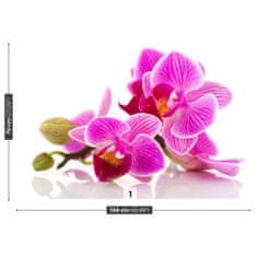 tulup.sk Fototapeta Kvety orchideí Samolepiaca fototapeta 104x70 cm