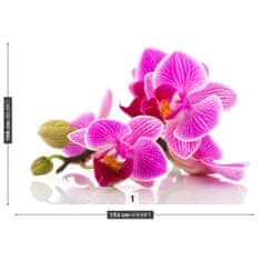 tulup.sk Fototapeta Kvety orchideí Samolepiaca fototapeta 104x70 cm