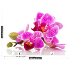 tulup.sk Fototapeta Kvety orchideí Samolepiaca fototapeta 104x70 cm