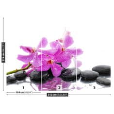 tulup.sk Fototapeta Ružová orchidea Samolepiaca fototapeta 250x104 cm