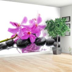 tulup.sk Fototapeta Ružová orchidea Samolepiaca fototapeta 250x104 cm