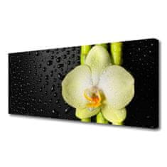 tulup.sk Obraz Canvas Bambus kvet orchidea 125x50 cm