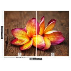 tulup.sk Fototapeta Plumeria wood Samolepiaca fototapeta 104x70 cm