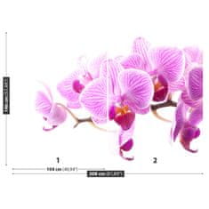 tulup.sk Fototapeta Ružová orchidea Samolepiaca fototapeta 104x70 cm