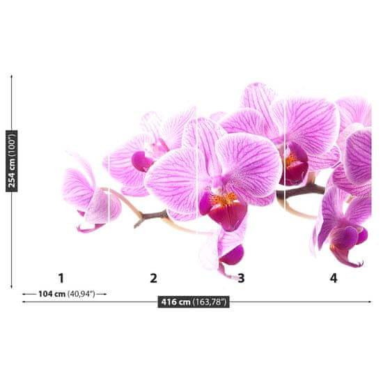 tulup.sk Fototapeta Ružová orchidea Vliesová fototapeta