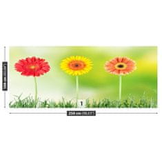 tulup.sk Fototapeta Gerbera Samolepiaca fototapeta 250x104 cm