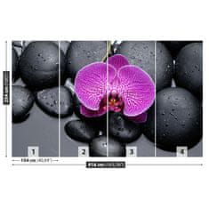 tulup.sk Fototapeta Orchidea kamene Samolepiaca fototapeta 104x70 cm