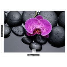 tulup.sk Fototapeta Orchidea kamene Samolepiaca fototapeta 104x70 cm