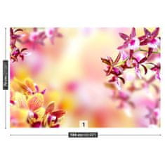 tulup.sk Fototapeta Ružová orchidea Samolepiaca fototapeta 312x219 cm